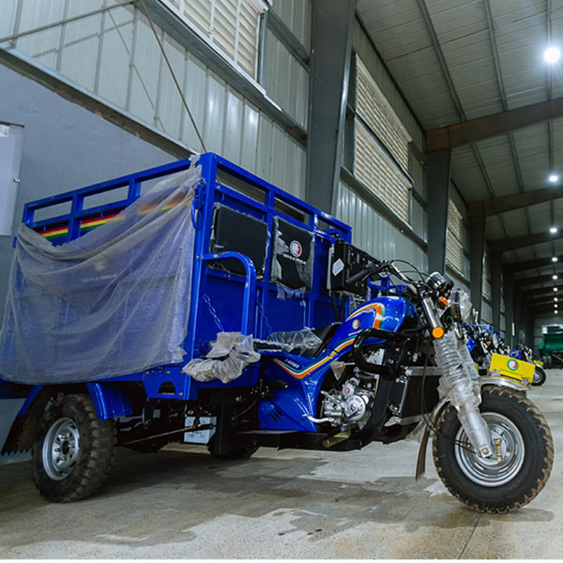 irecop_tricycles